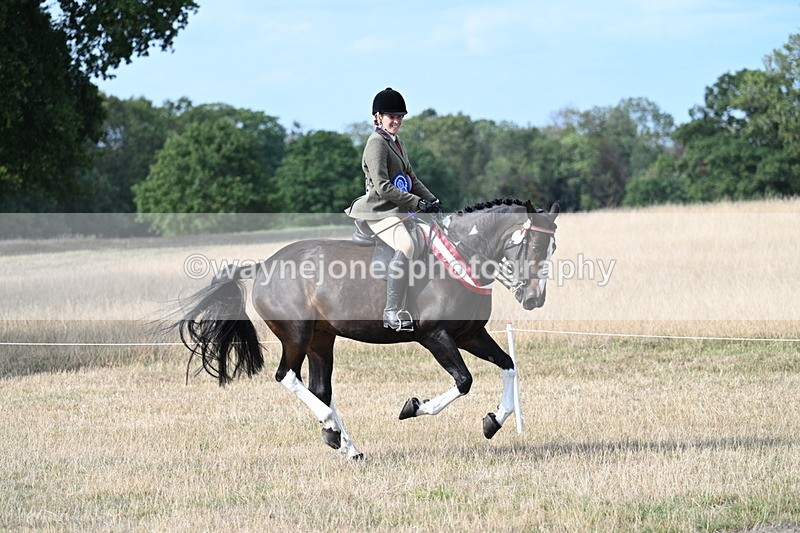 WJ7_7872 - Ridden Championship