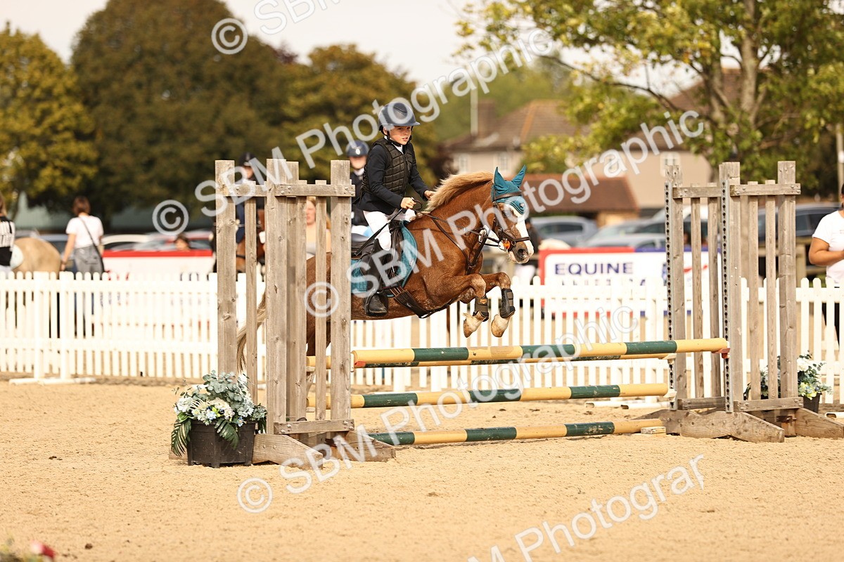 SBM_69676 - J13 - Junior Pony 60cm Championship