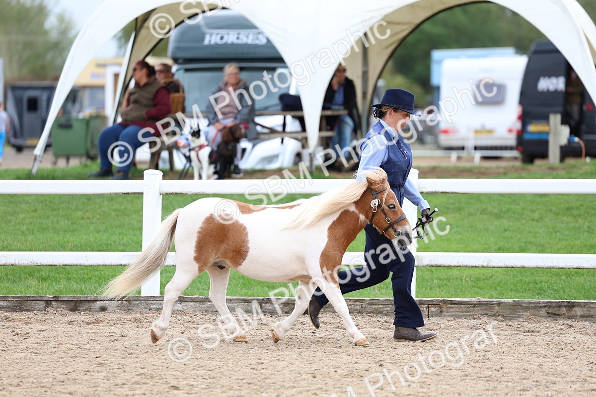 SBM_05873 - Class 29 - IH Veteran Pony