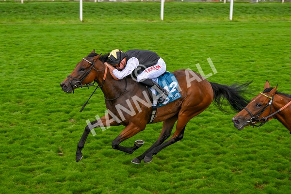 230824-Race 7-Treasure Time-0192 - Race 7 5.20pm Sky Bet Mile Handicap
