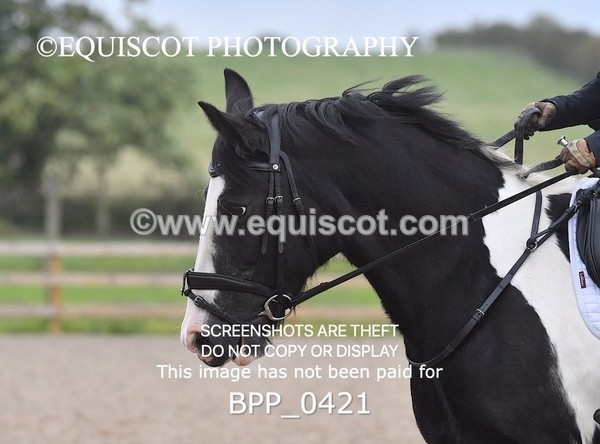 BPP_0421 - MFS PRELIM & NOV