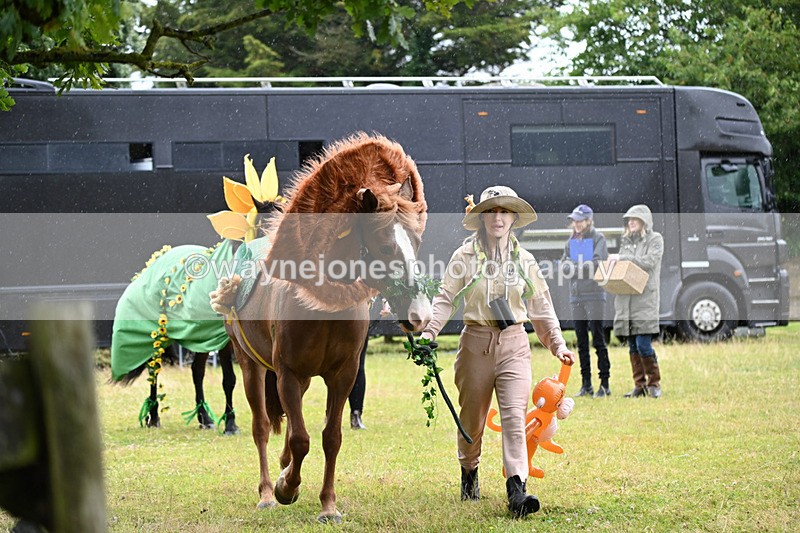 WJ6_9047 - Class 11 Fancy Dress