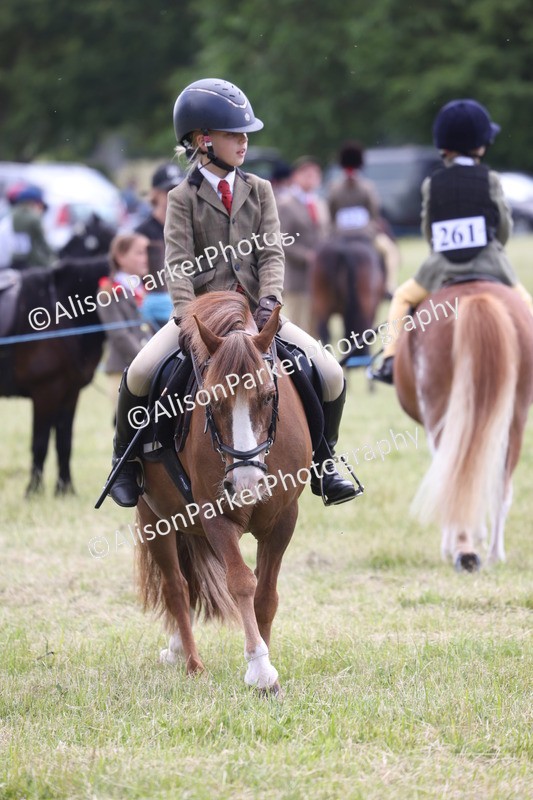 20260614-2063 - Class 21 - Novice Working Hunter Pony