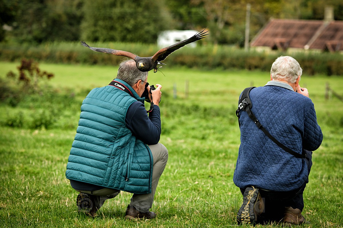  - West of England Falconry
