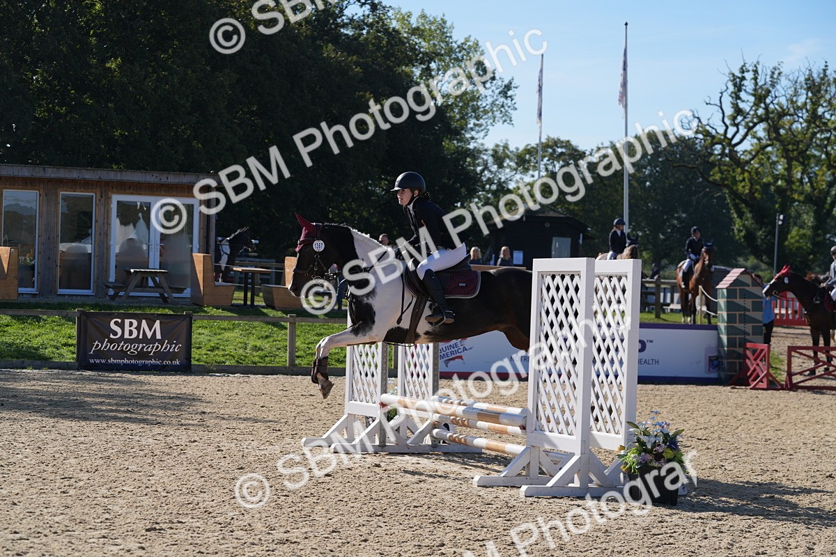 SBM_36176 - J 20 - Junior Horse 50cm Championship