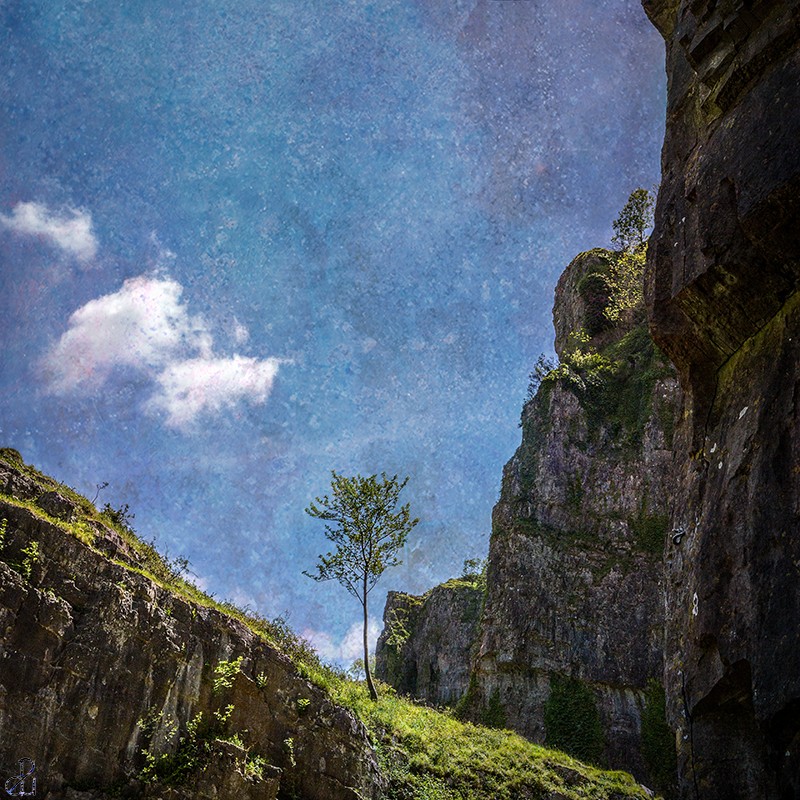 Creative photography by Diana Uzun
