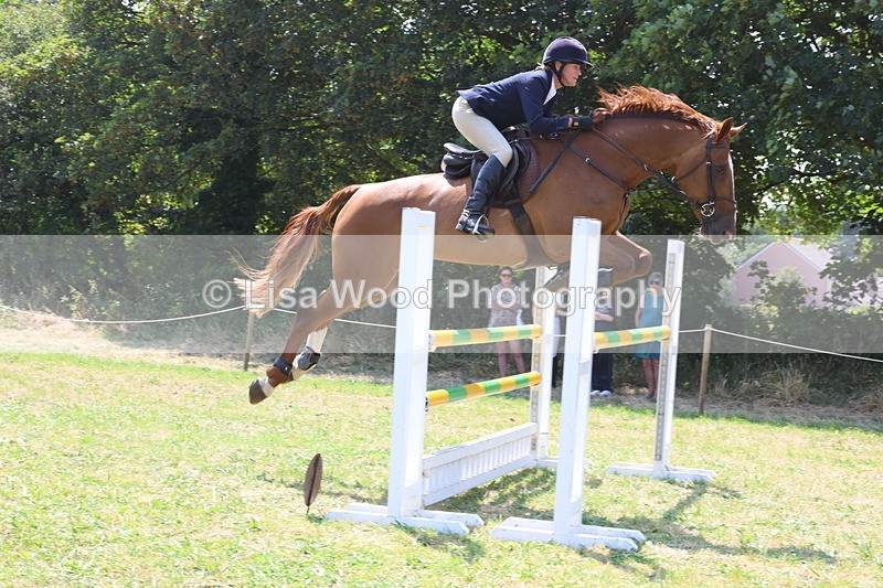 3E7A3365 - Class 10: Senior Foxhunter/1.20 open