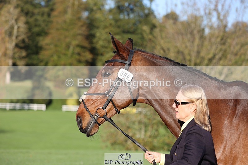 241027-085854-14941 - 369-Carolyn.Price-I.WISH.ANDY