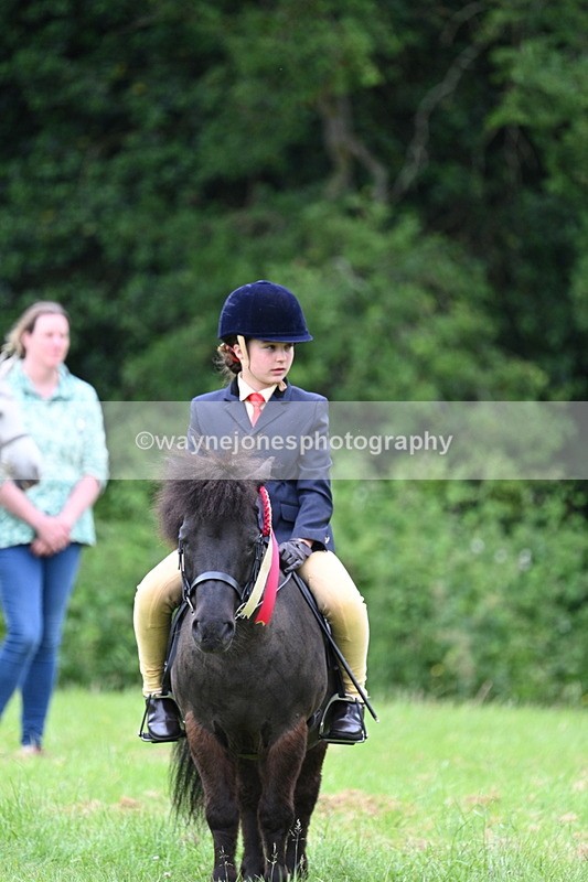 WJ7_4267 - Class 14A Handsome Gelding