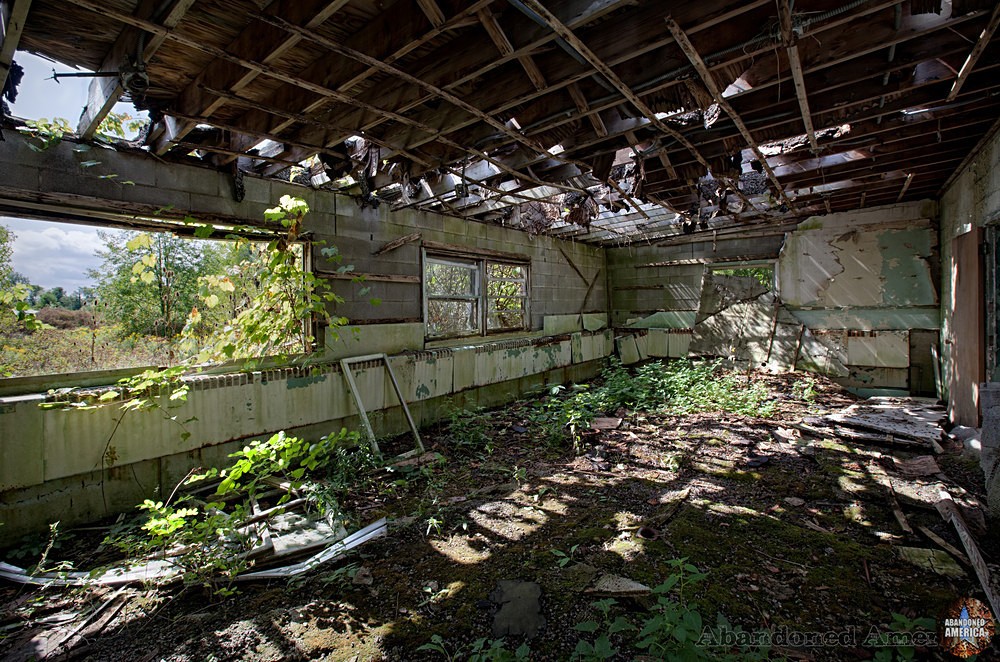 Abandoned Air Force Base | Interior Garden - ABANDONED PLACES