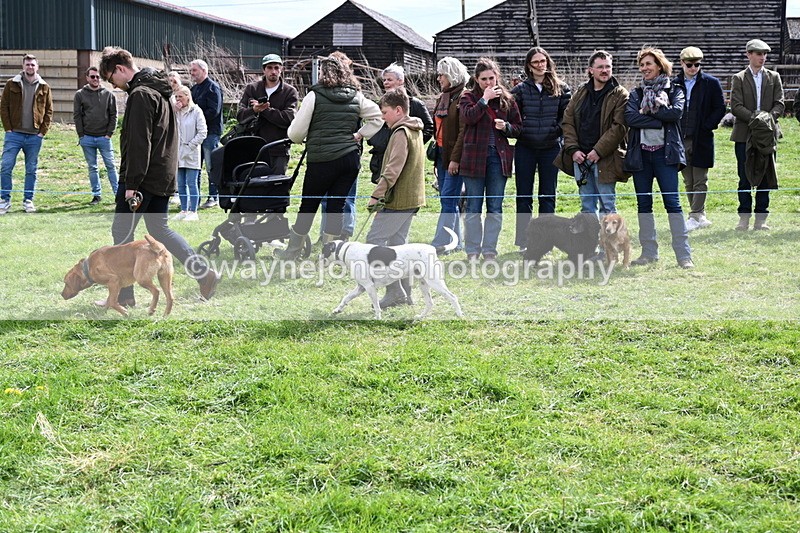 WJ6_8237 - Class 4 Prettiest Bitch