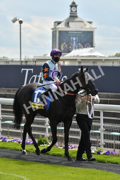 yr12052021r2-10 - Race 2 2.10pm Churchill Tyres Stakes