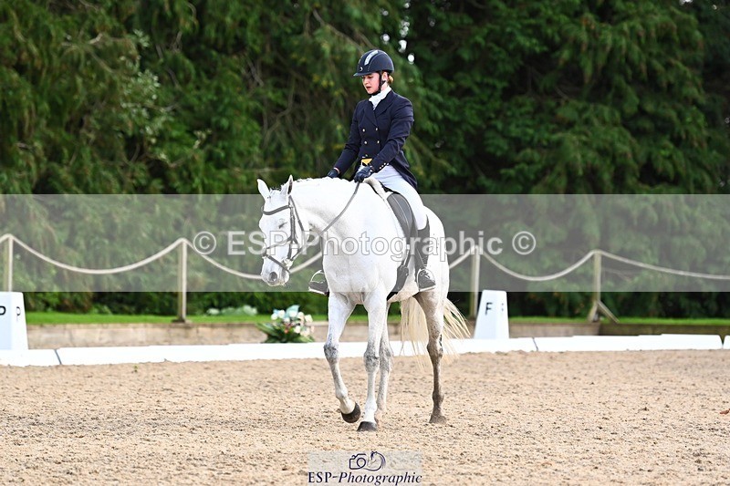 231021-160213-21003 - 262-GOOD.BOY.ALEX-Tara.Jefferies-DR