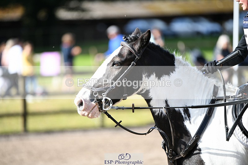 240825X-093932-30815 - 70cm SJ 9.15 to 10.21