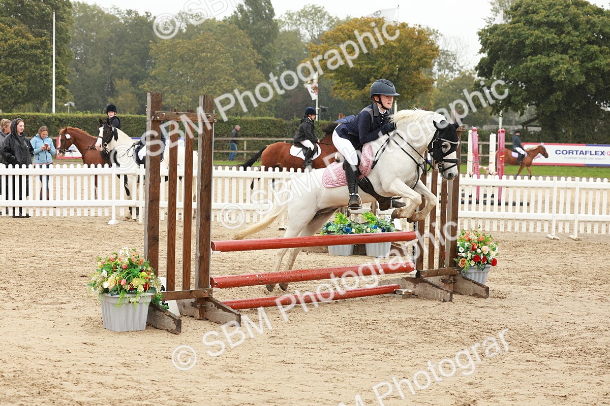 SBM_71210 - J14 - Junior Pony 65cm Championship