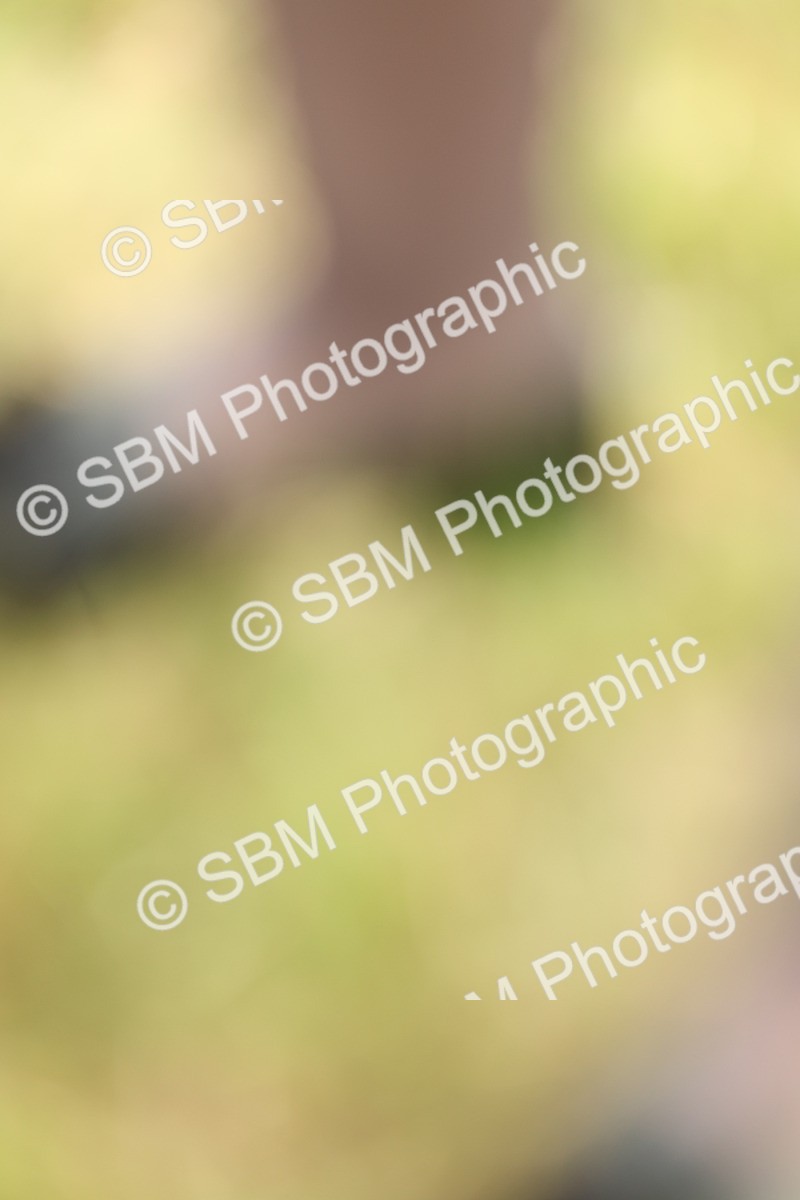 SBM_09073 - Class 78-80 - Ridden M&M Non Welsh Ponies