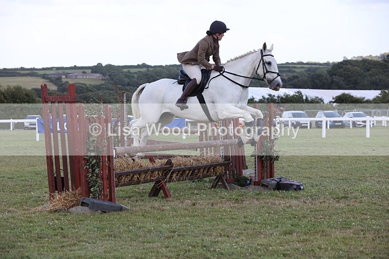 JPP_3619 - Class 24: Open Working Hunter