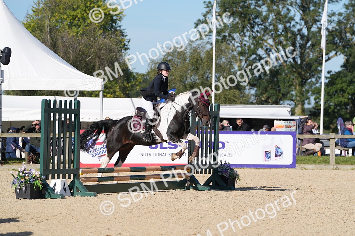 SBM_36167 - J 20 - Junior Horse 50cm Championship