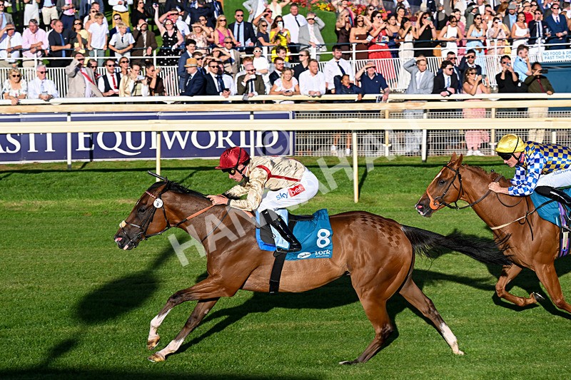 240726-Race 4-Rajaking-0442 - Race 4 19.15pm Tomahawk Handicap