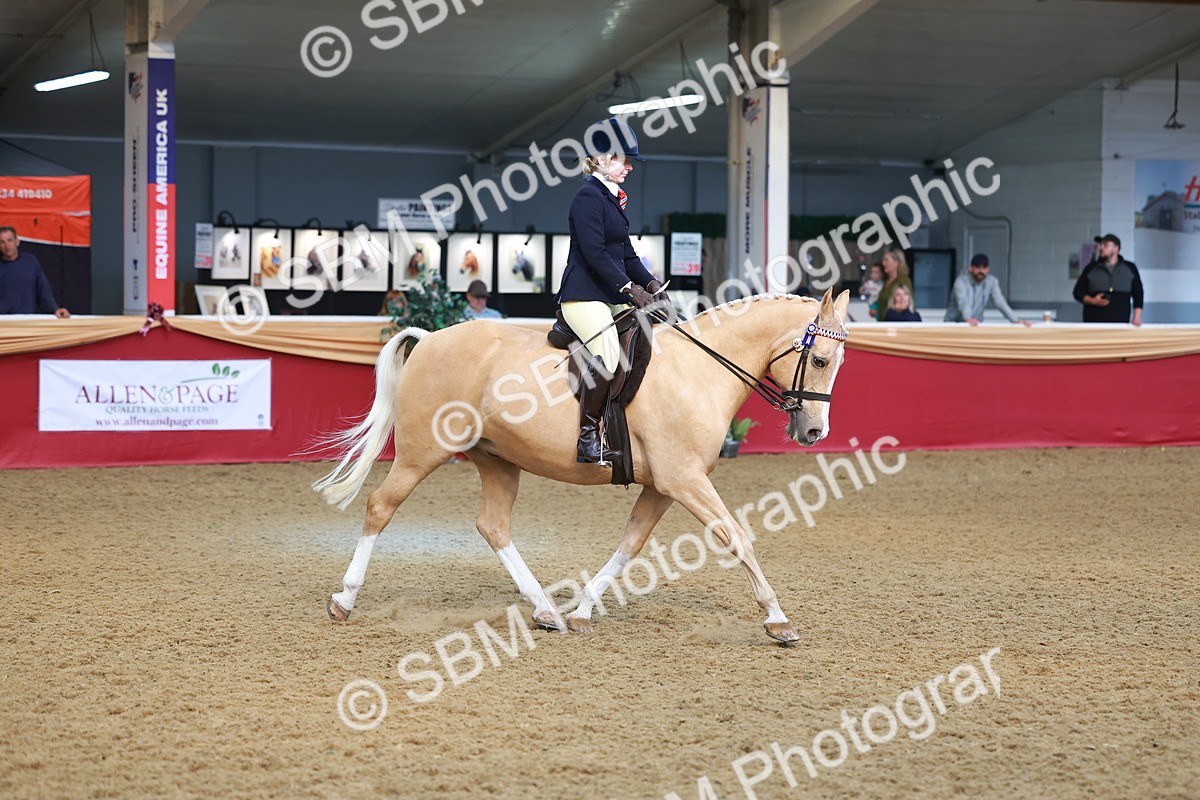SBM_09720 - Class 102 - HOYS Veteran Qualifier - Ridden Veteran