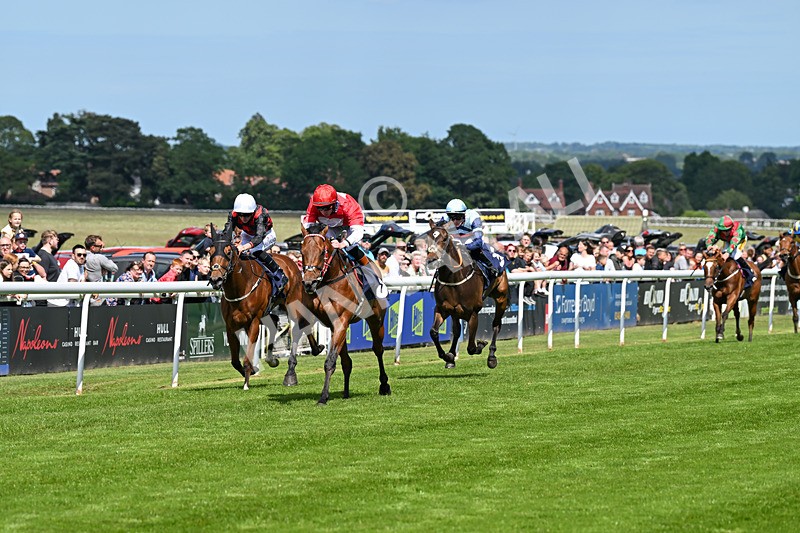 280525-Race 3-Rogue Invader-4811 - Race 3