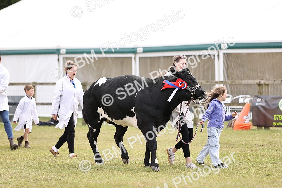 SBM_16909 - Grand Parade