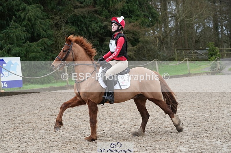 260301A-095014-01691 - NSEA 70-75cm