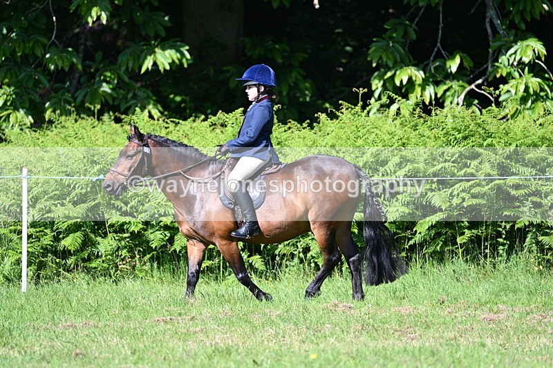 WJ7_0367 - Class 8 First Rally Pony