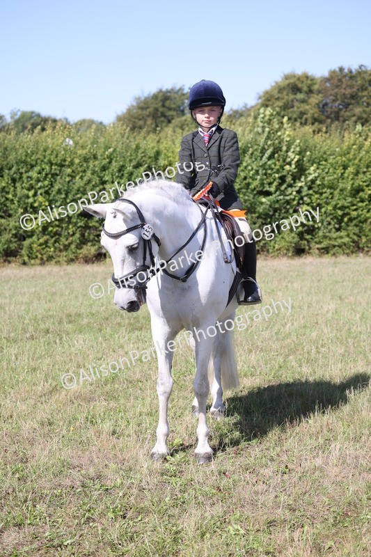 20260906-2333 - Class 16 - Family Pony