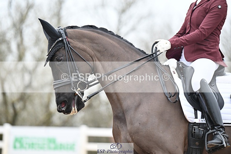 250216-112835-05098 - 184-Lucy.Palmer-La.Vida.loca