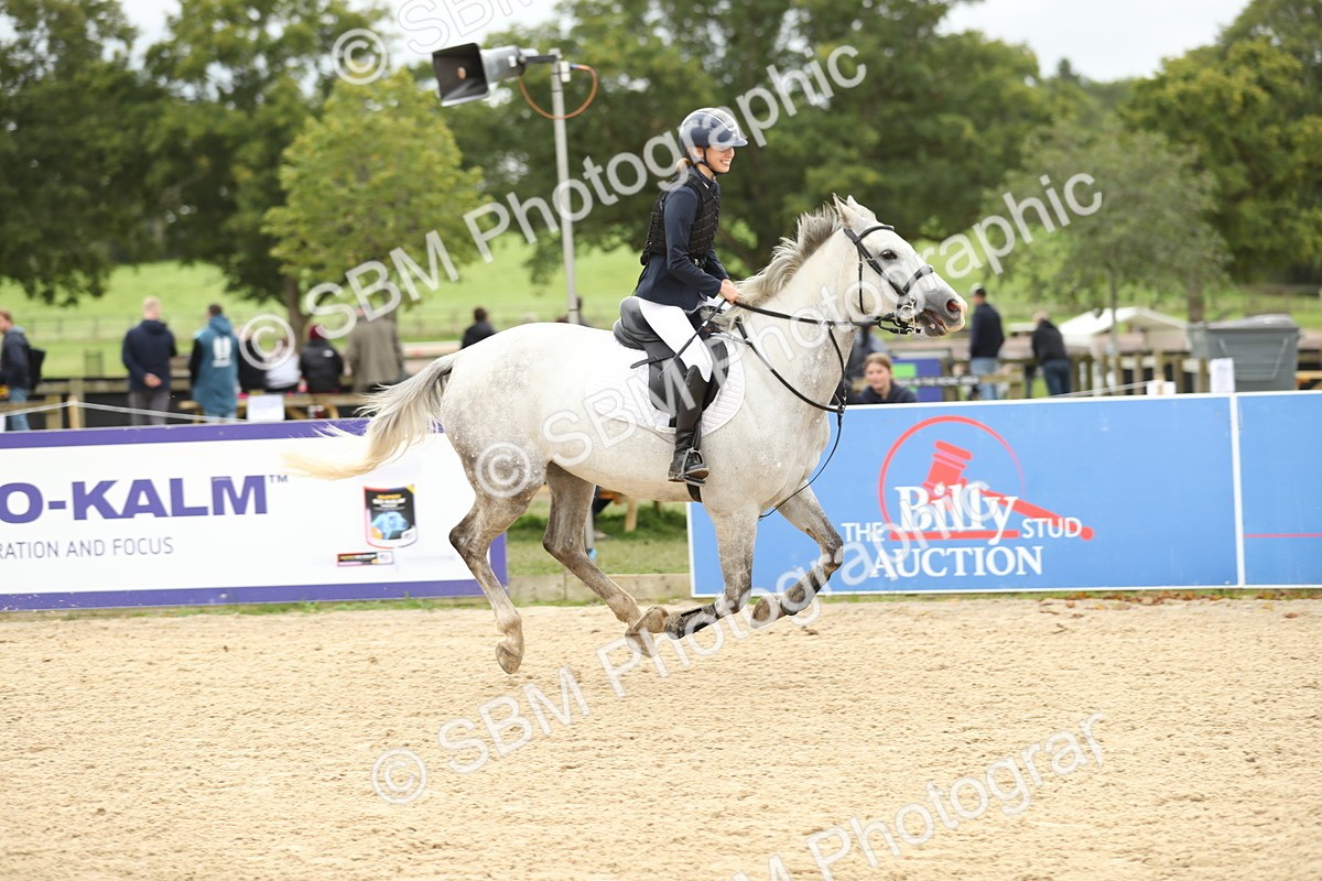SBM_63207 - Supreme championship 75cm 80cm