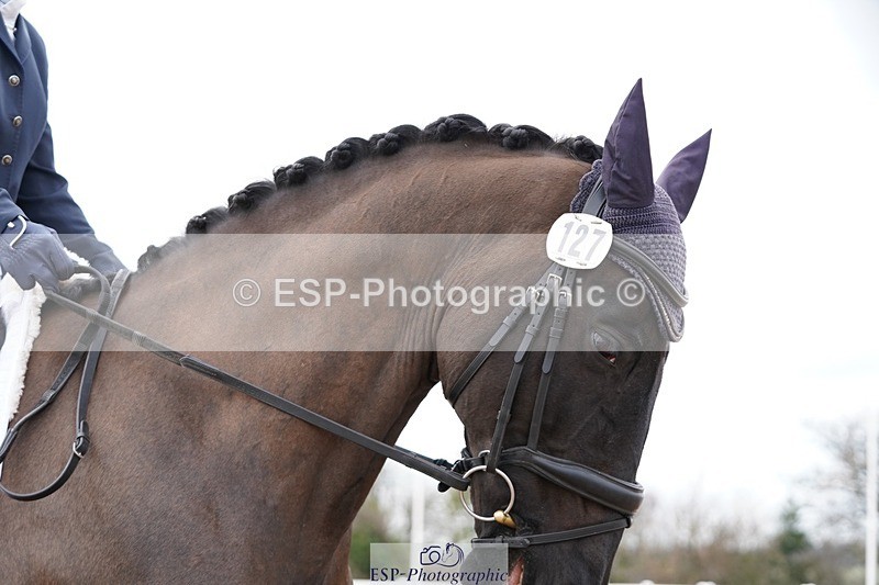 250322-123630-00379 - DR Novice 2 Test