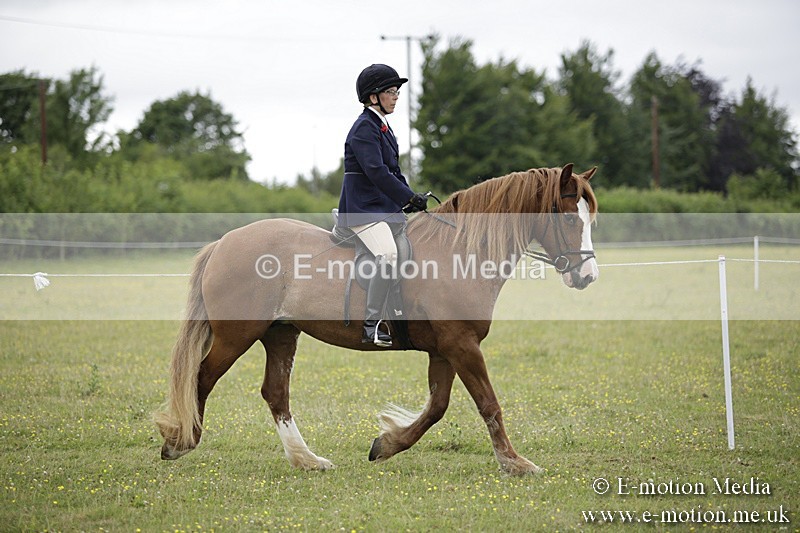 BVR160717-1514 - Ring 1 BVRC Show 16/07/17