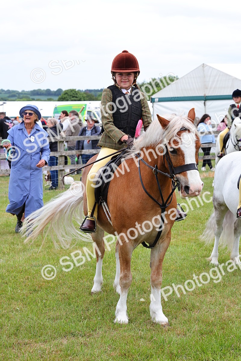 SBM_08863 - Class 42-43 - LIHS BSPS Heritage Working Sports Pony