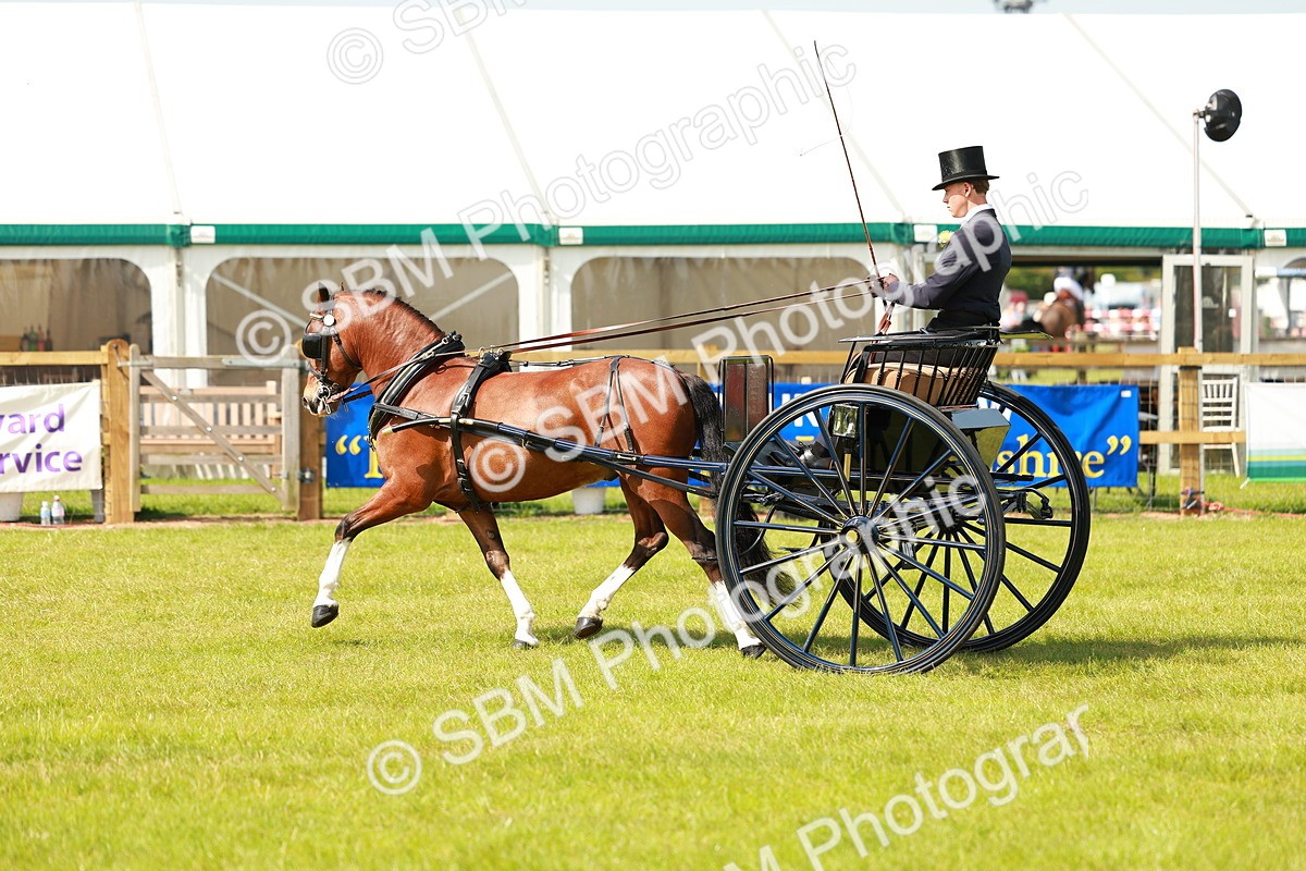 SBM_02703 - Class 2-4 - HOYS Private Driving