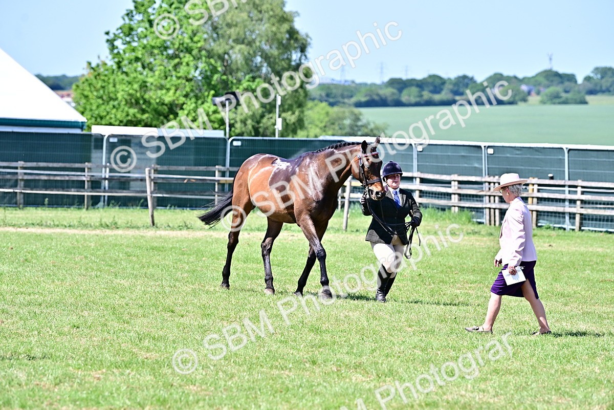 SBM_18232 - Class 99-100 - Retraining of Racehorses Ridden