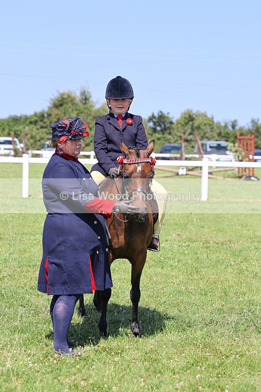 IMG_2187 - Class 36: Part Bred Ridden M & M