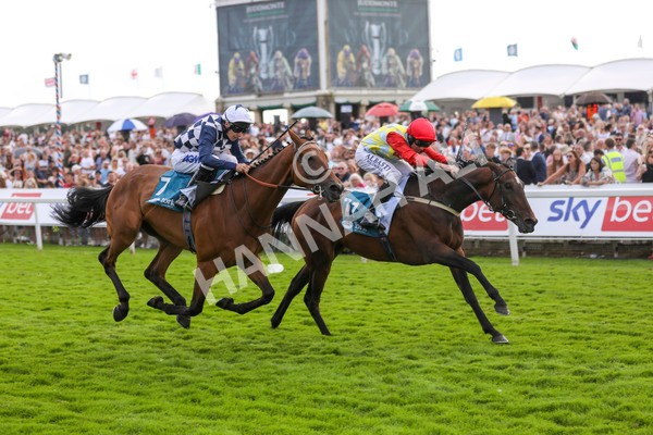 290723-Race 5-Baez-4007 - Race 5 4.35pm Sky Bet Prize Drop Handicap
