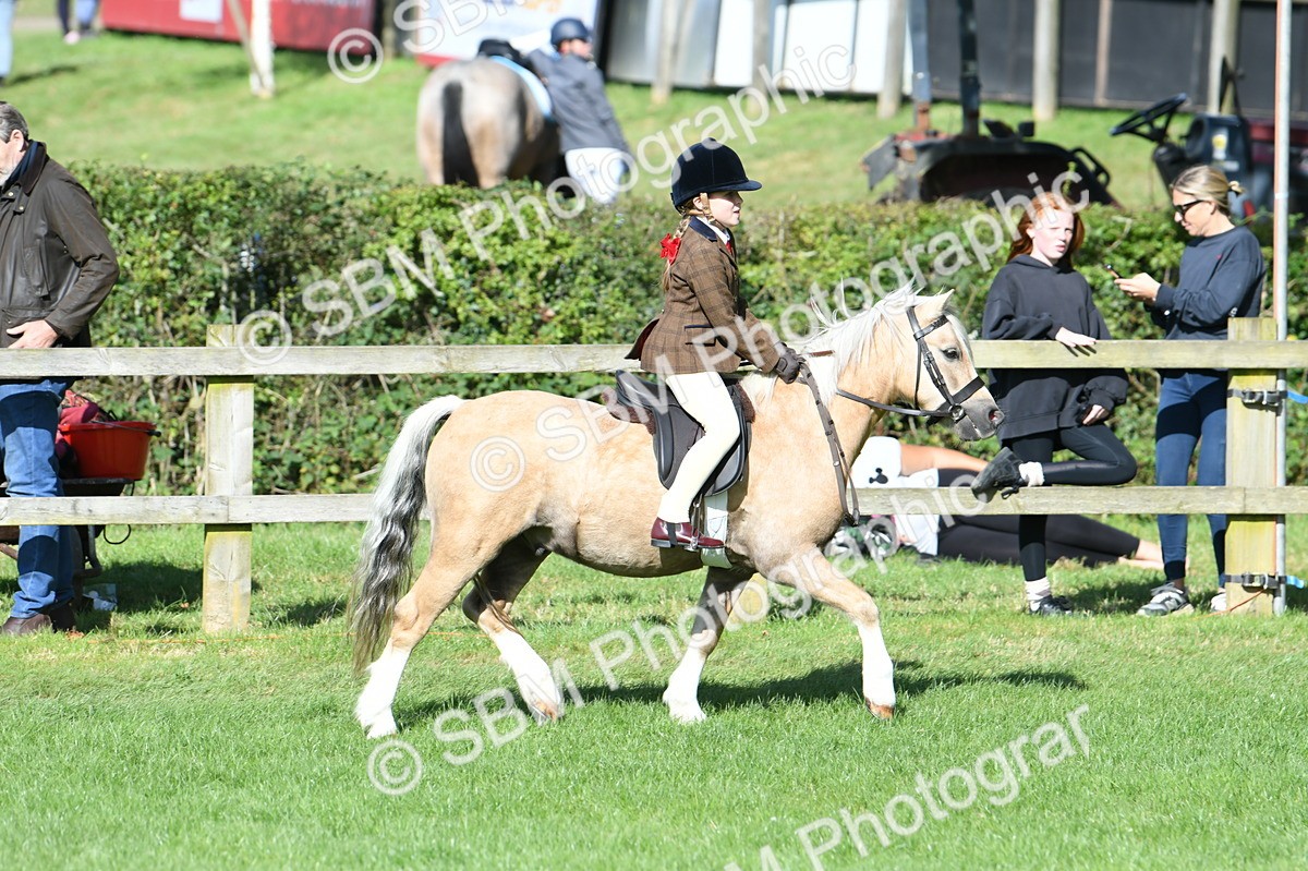 SBM_50334 - S21 - Novice & Newcomers 1st Ridden Pony
