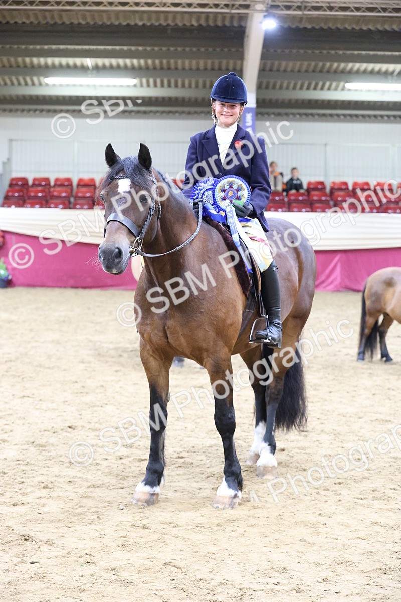 SBM_20063 - Class B - Junior Champ 11yr to 16 Years