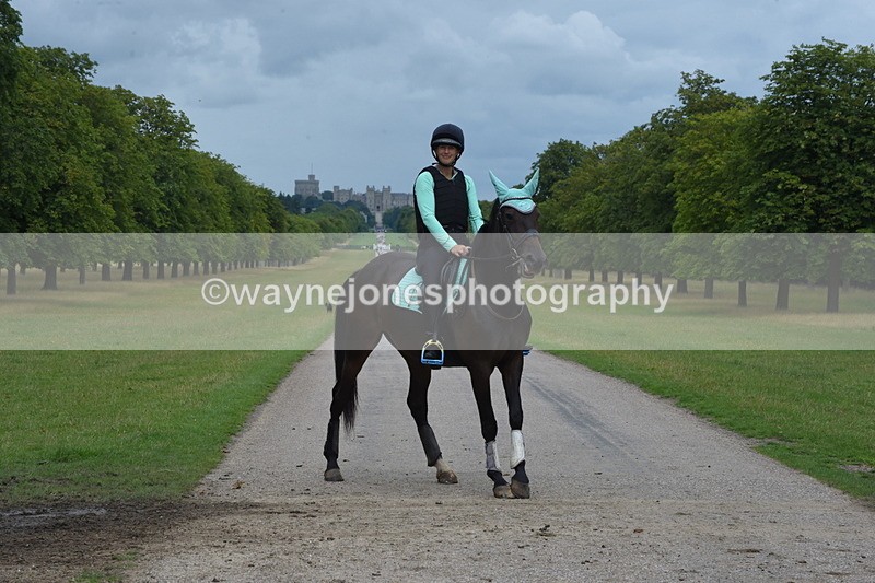 TT3_9849 - Time at Crossing 11:28 to 13:16