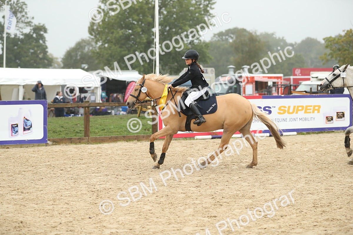 SBM_74139 - J16 - Junior Pony 75cm Championship