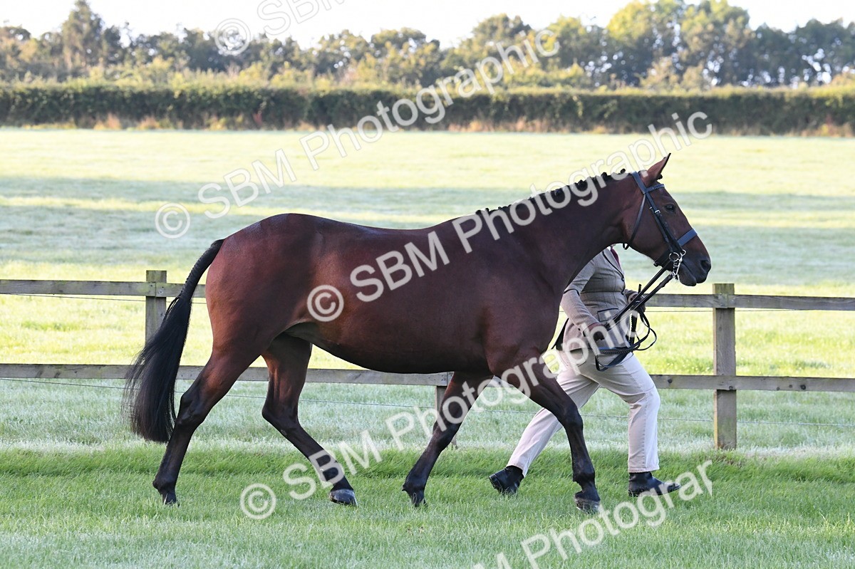 SBM_32540 - S15 - Condition & Turnout In Hand