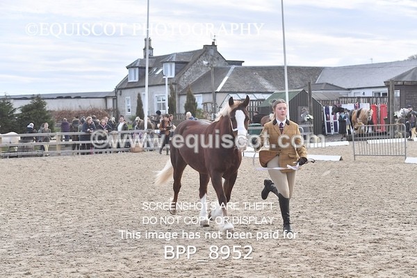 BPP_8952 - RING 2 - M&M