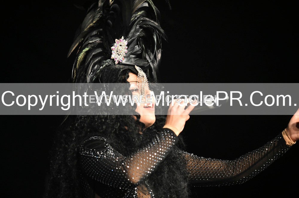 SH4_7037 - The Cher Experience