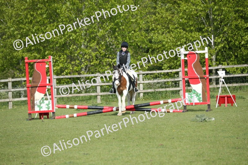 20260426-0181 - Class 13 - Rookie Jumping 50cm