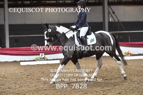 BPP_7828 - ELEM TEST 6