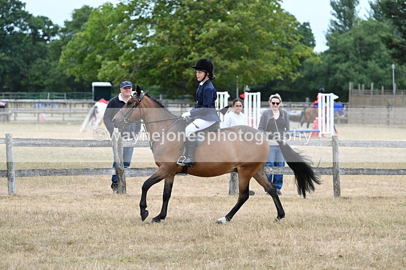 WJ7_7220 - Class 2 Best Rider