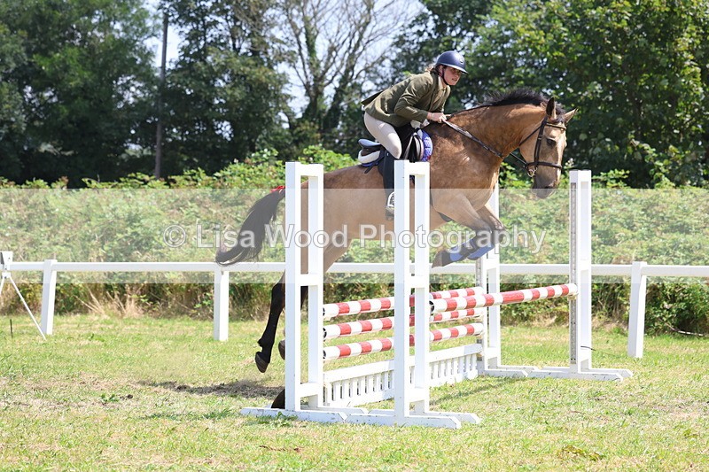 3E7A2978 - Class 7: Senior British Novice/90cm open