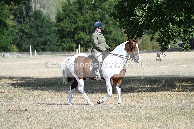 WJ7_2677 - Class 8 Ridden Tack & Turnout